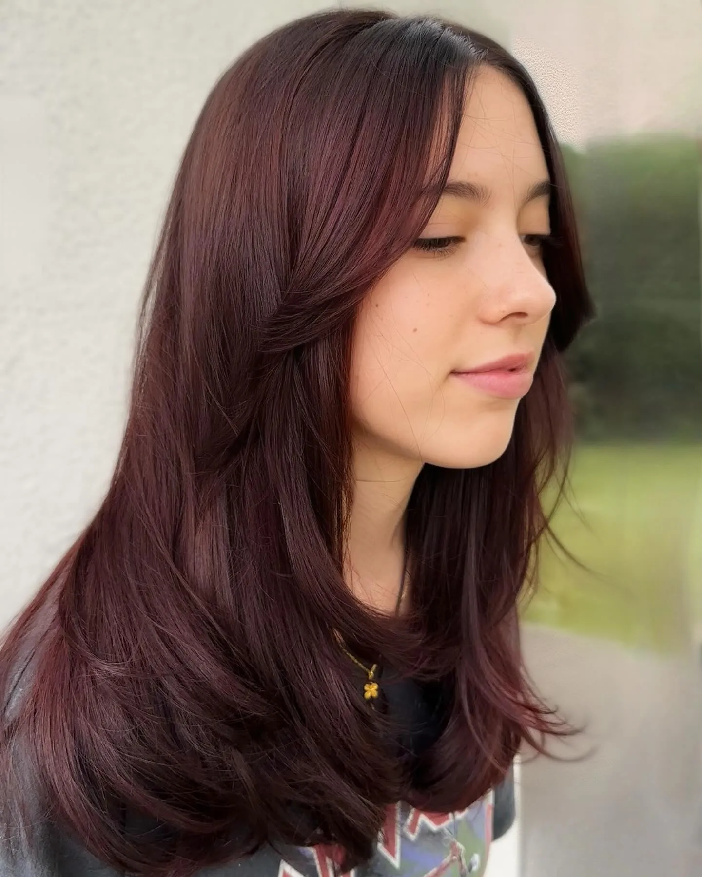 Long layered hair with a soft violet-red brown color