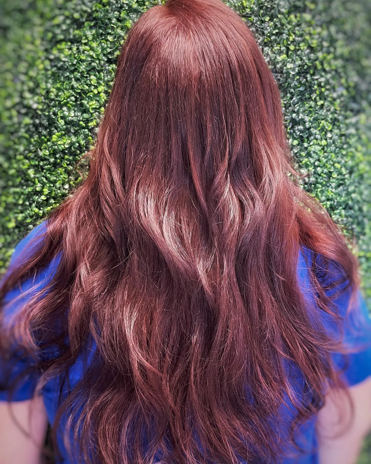 Long rich auburn wavy hair from the back