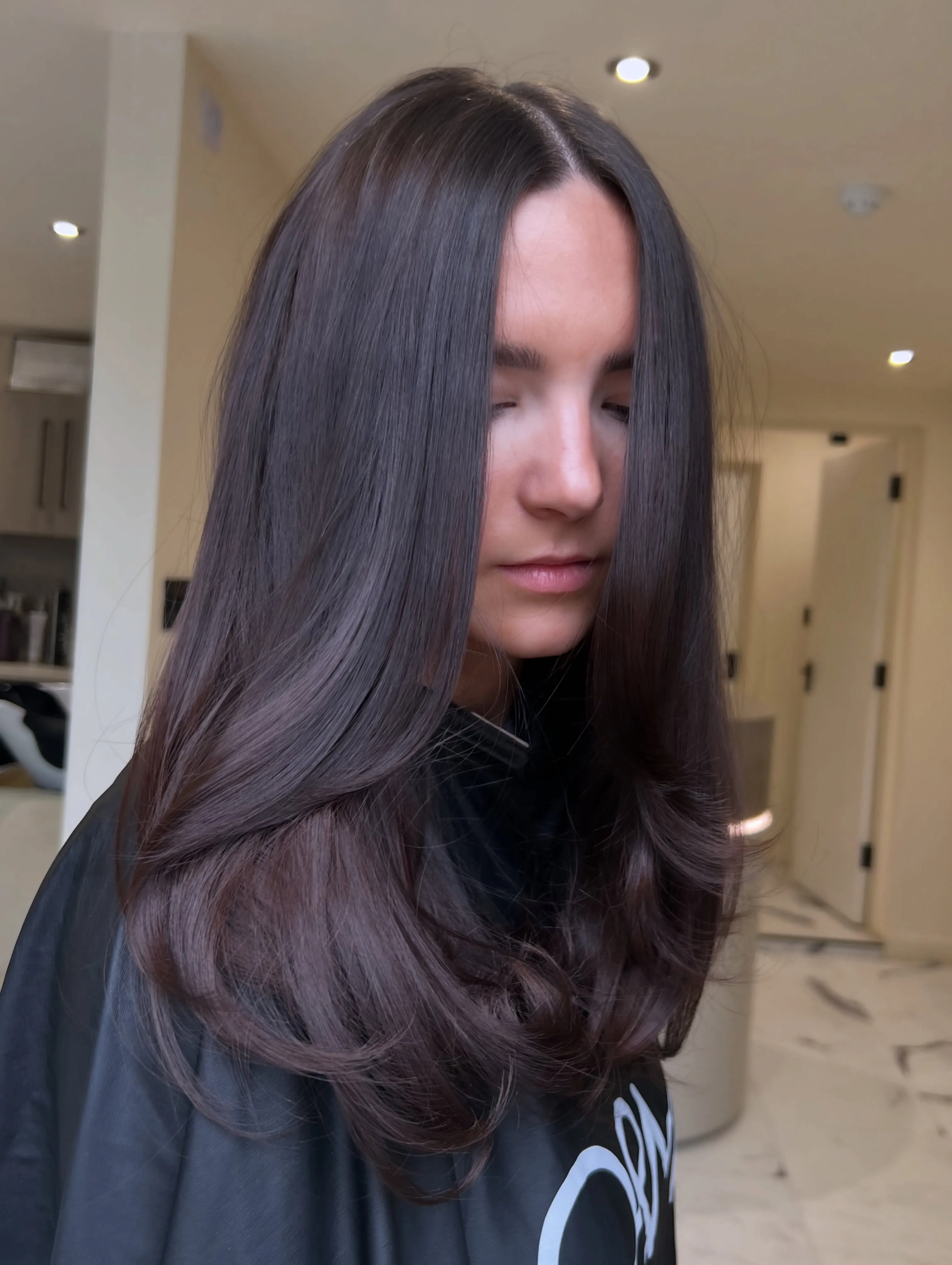Cool dark brunette hair with smooth layered blowout