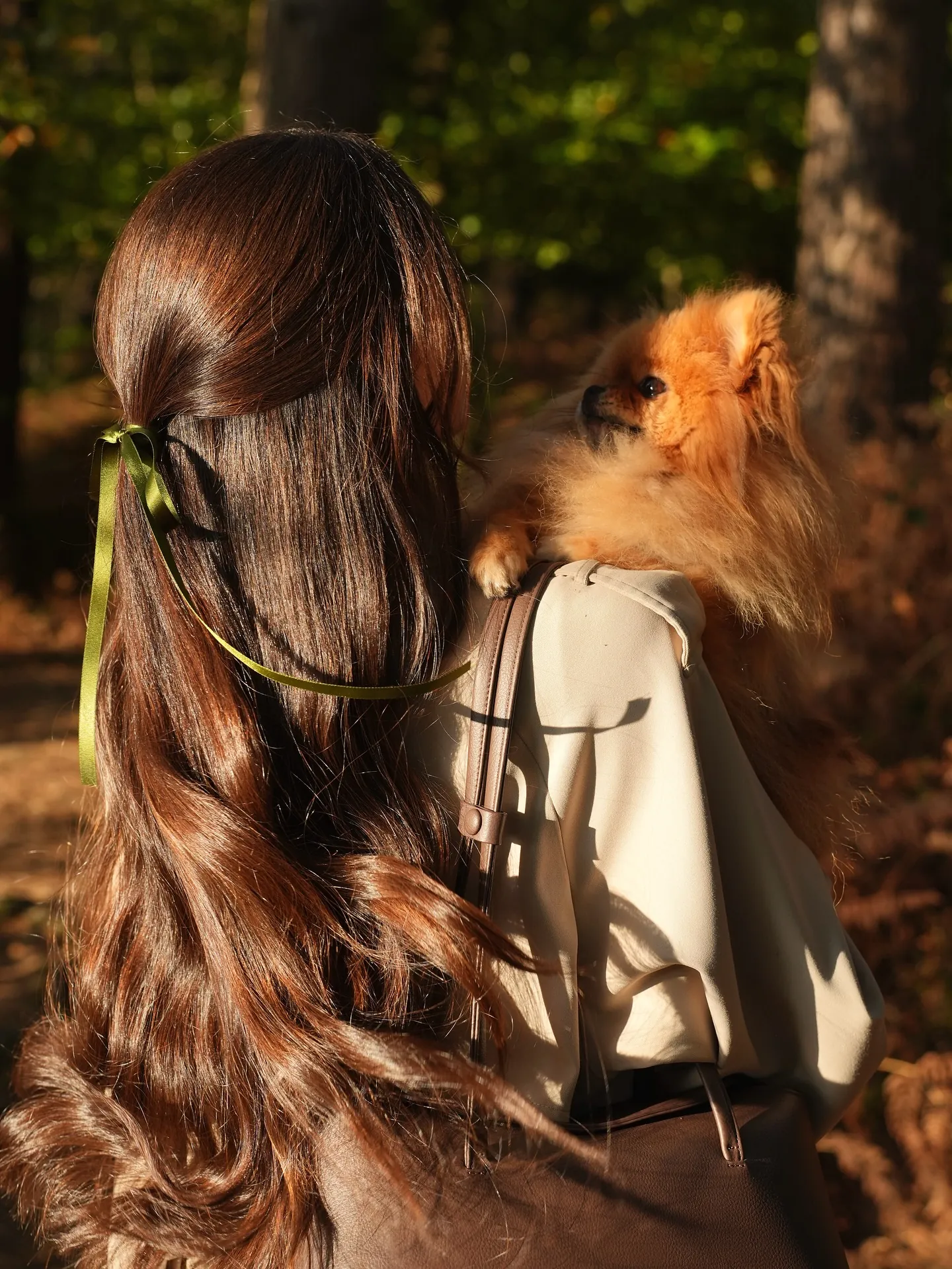 Long glossy brunette waves in a half-up style tied with a green ribbon