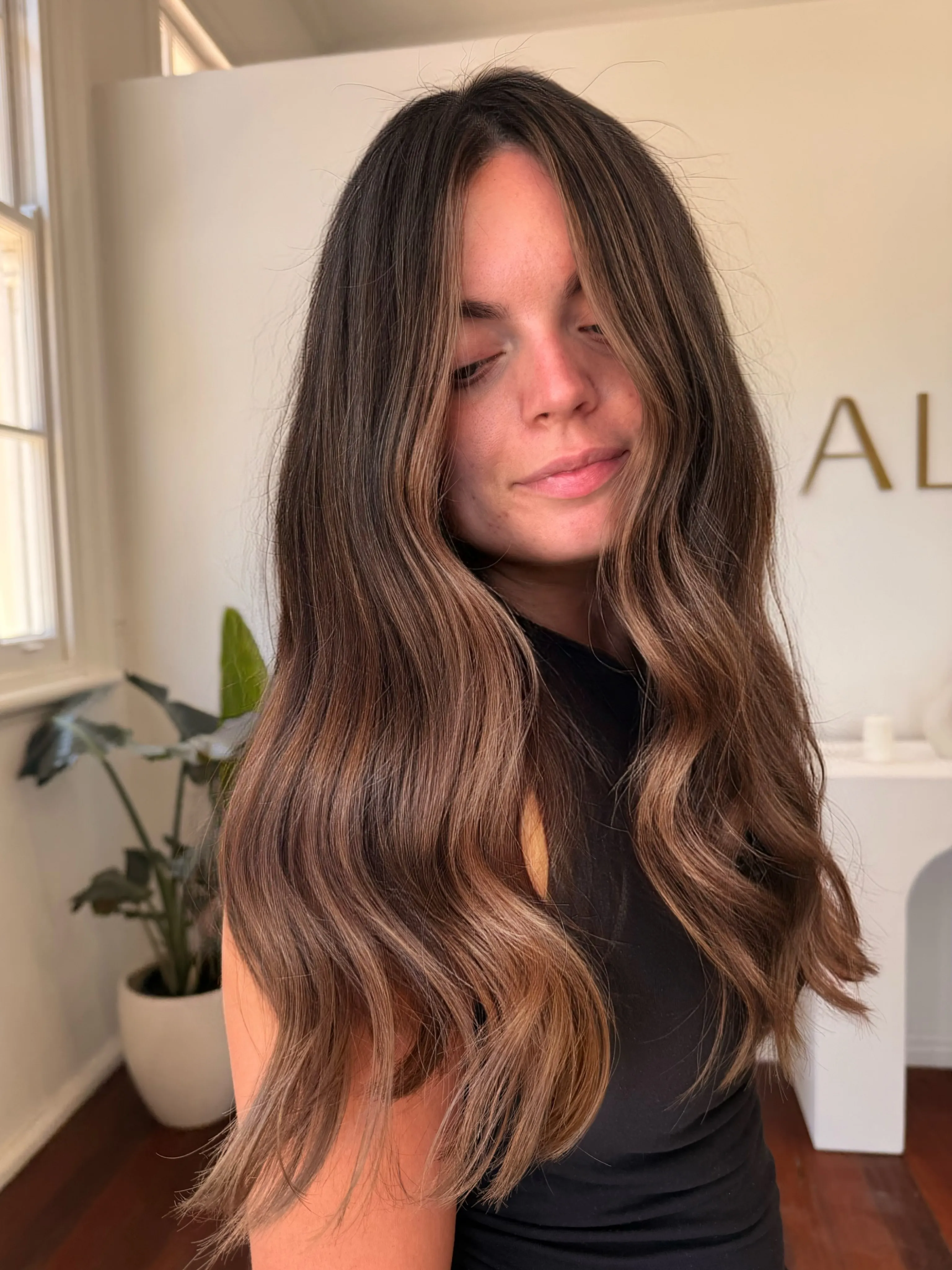 Dark Bronde Waves
