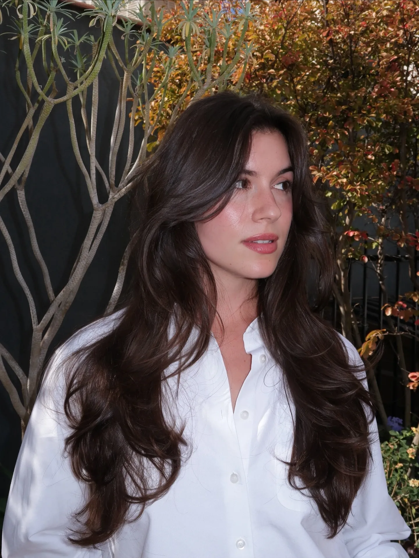Very long dark hair with face-framing layers and soft waves