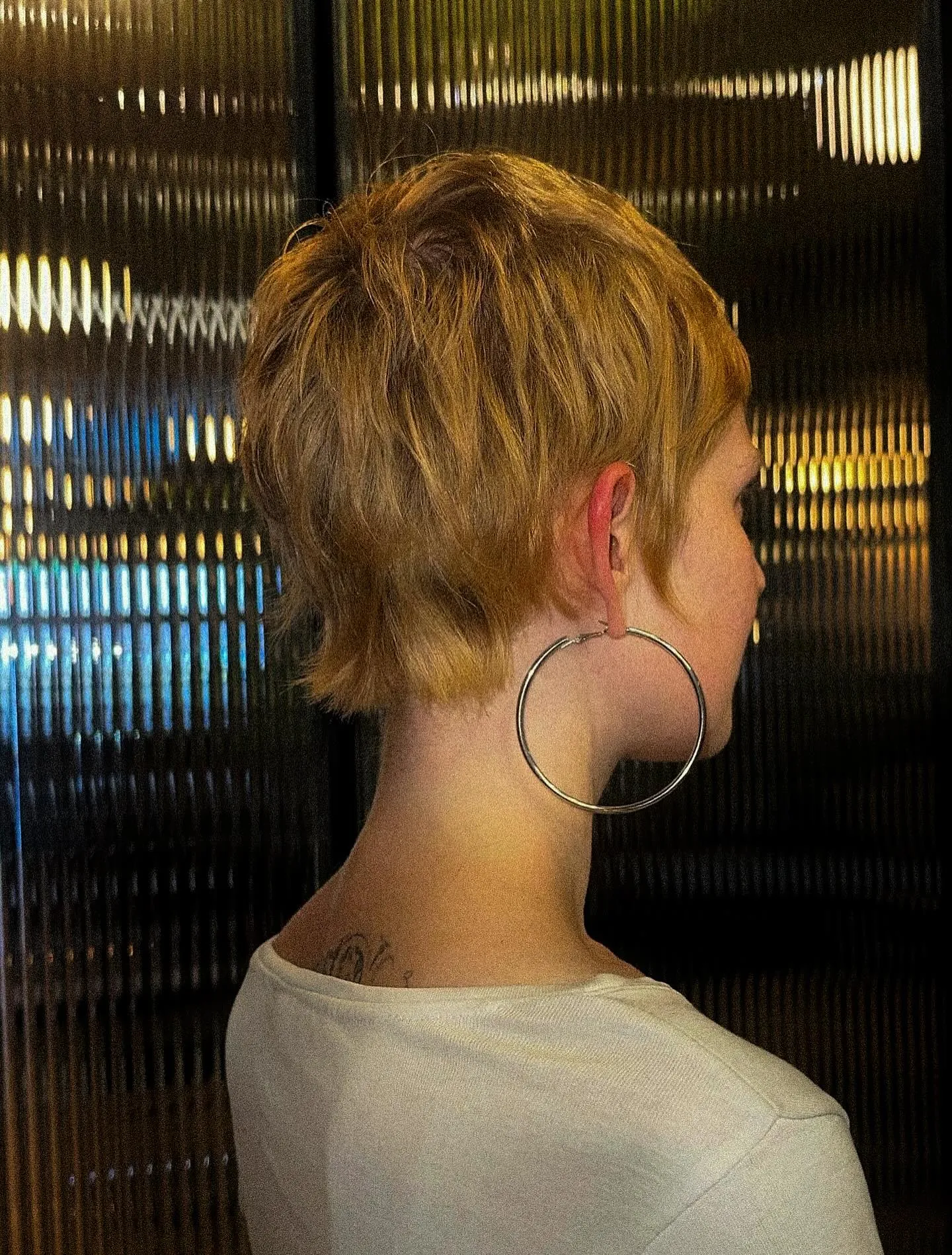 Short feathered pixie with longer pieces at the back