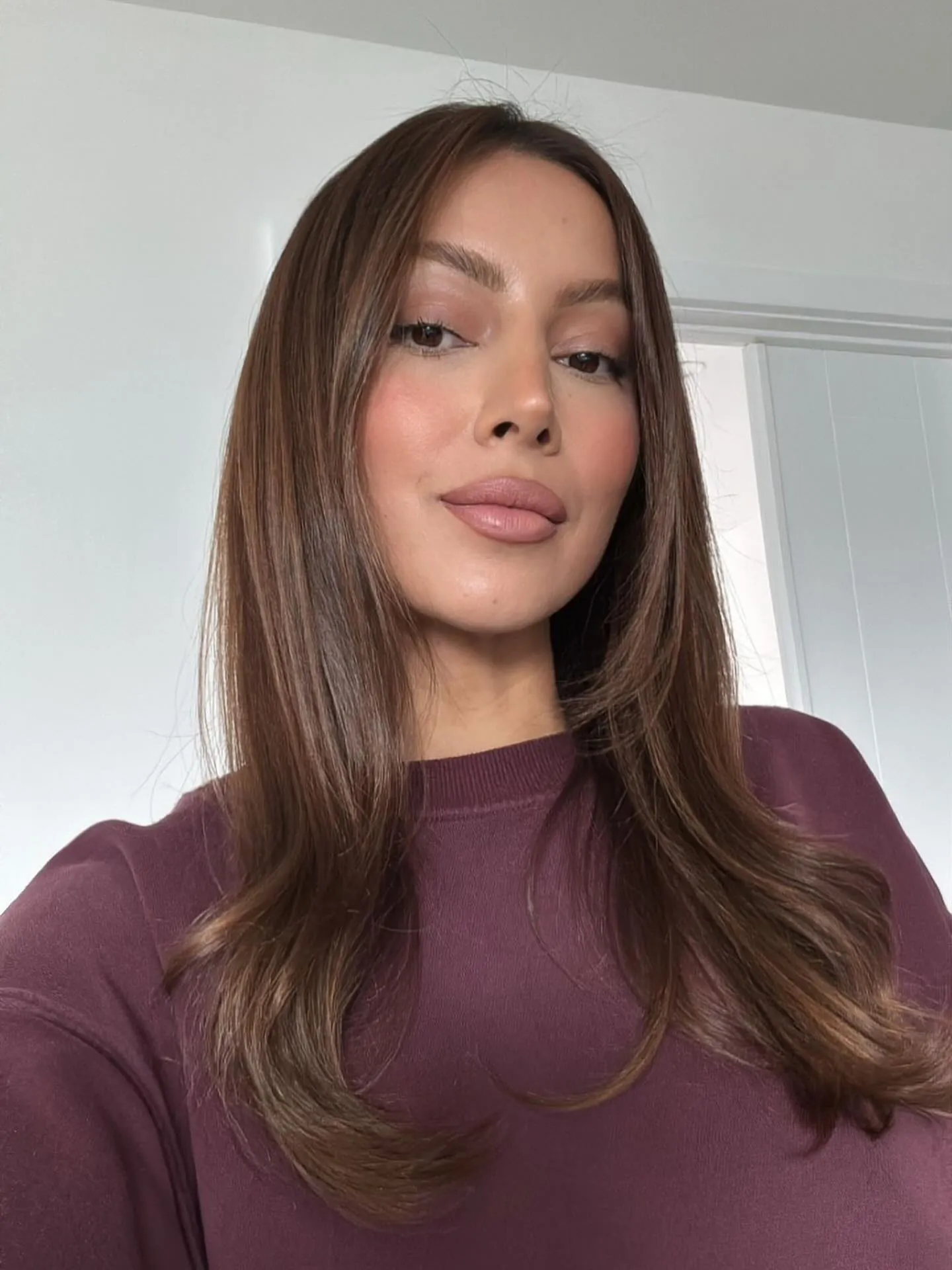 Sleek Chestnut Layers