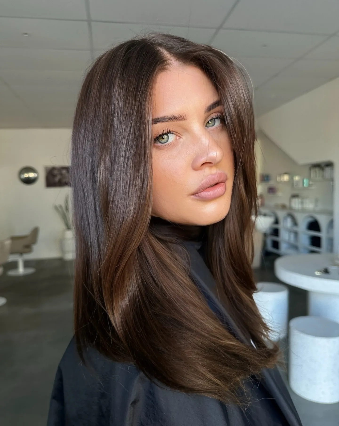Sleek Brunette Layers