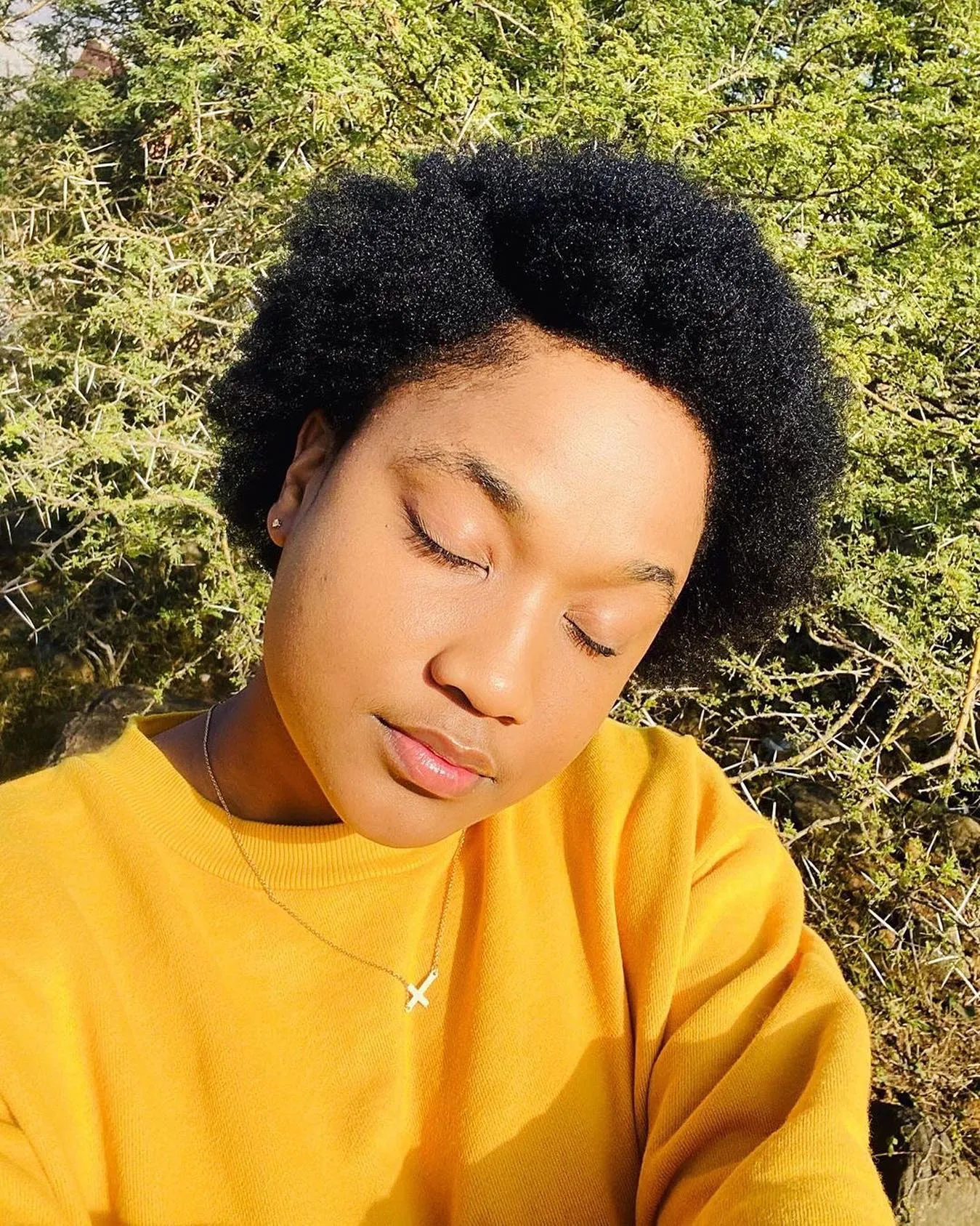 Rounded Afro hairstyle