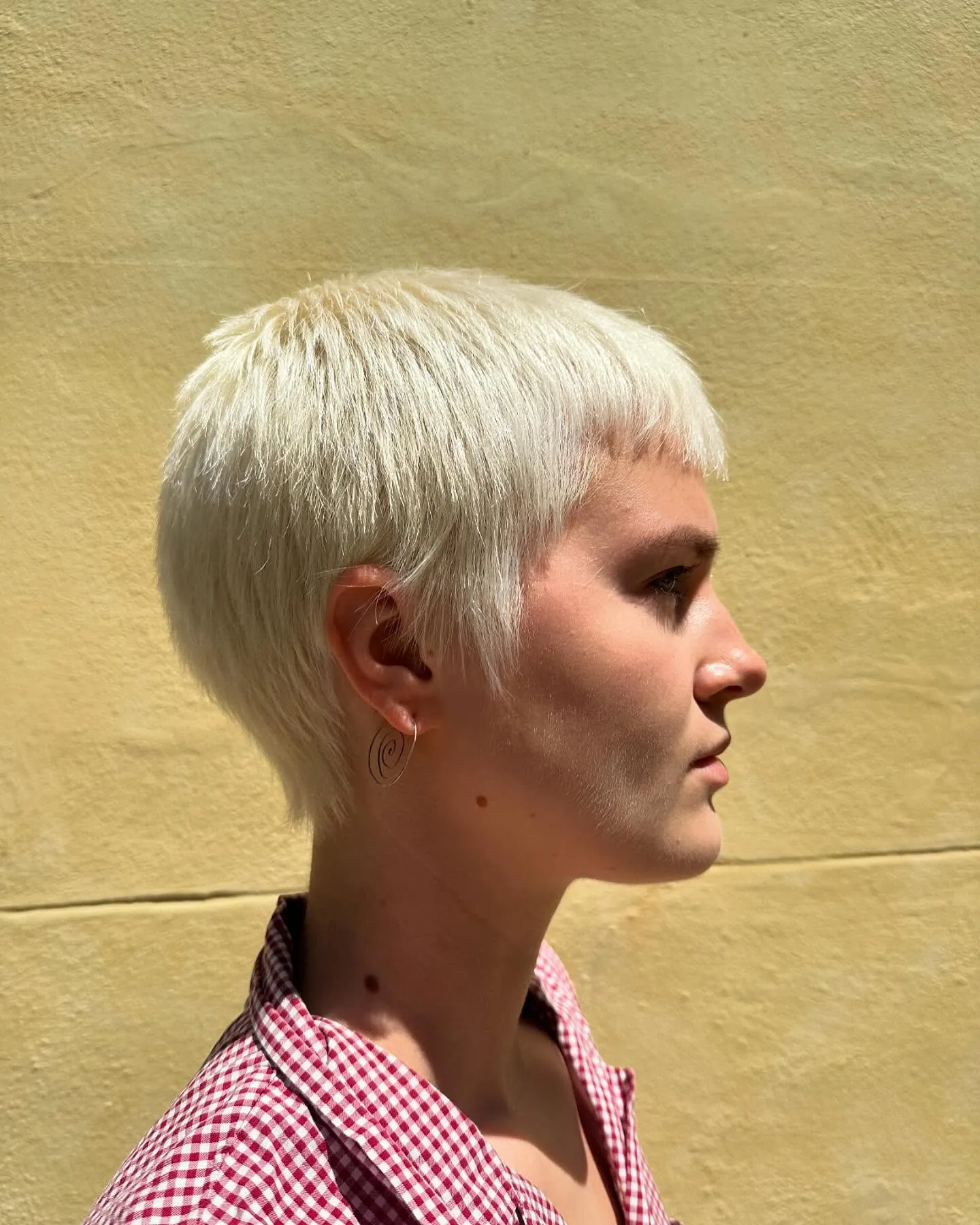 Platinum Buzzed Pixie