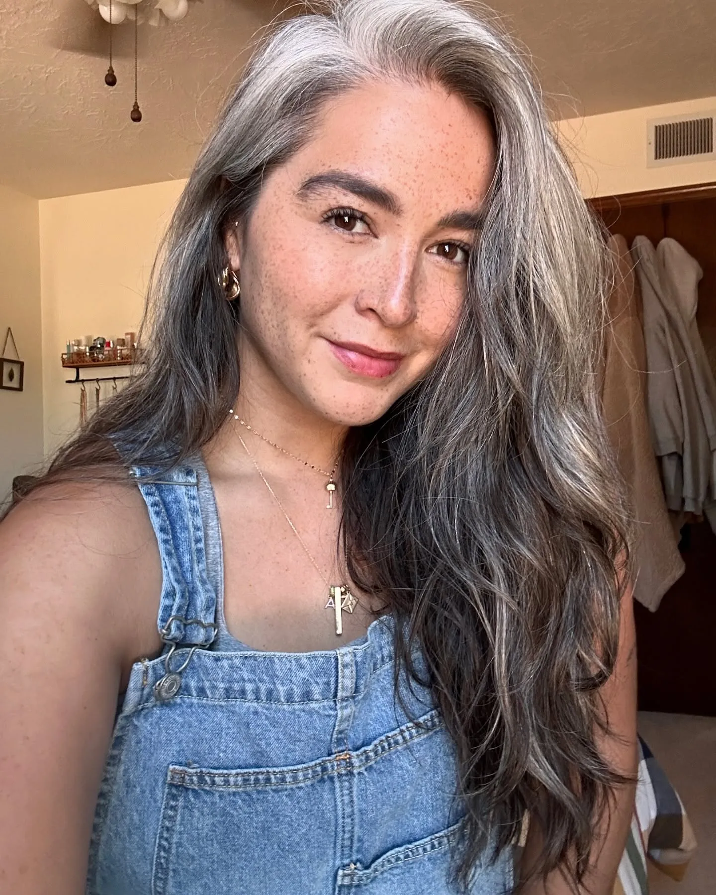 Long dark hair with natural silver streaks