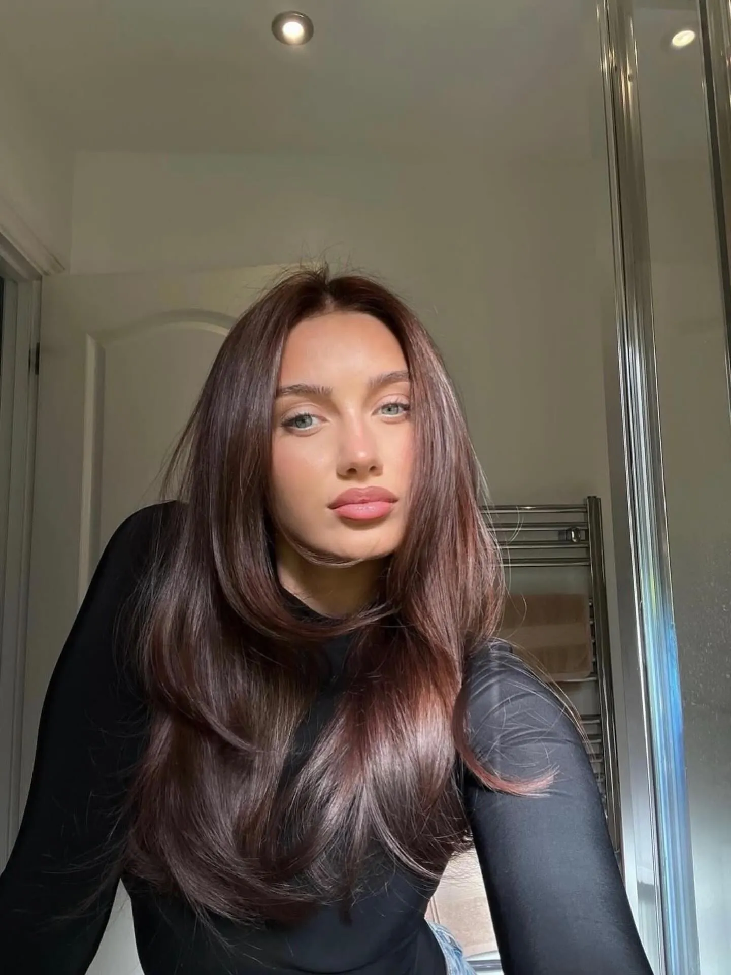 Glossy Red-Brown Hair