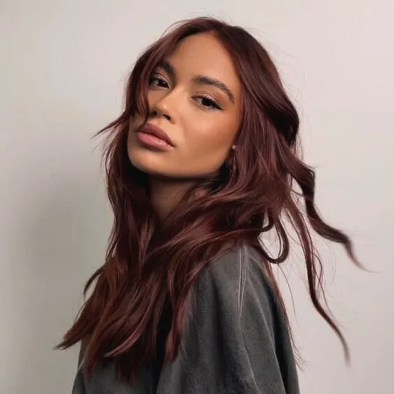 Wine Brunette Hair: 18 Whimsical Ideas